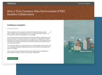 What is a Common Data Environment (CDE)?