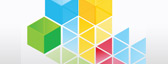 IBM Services